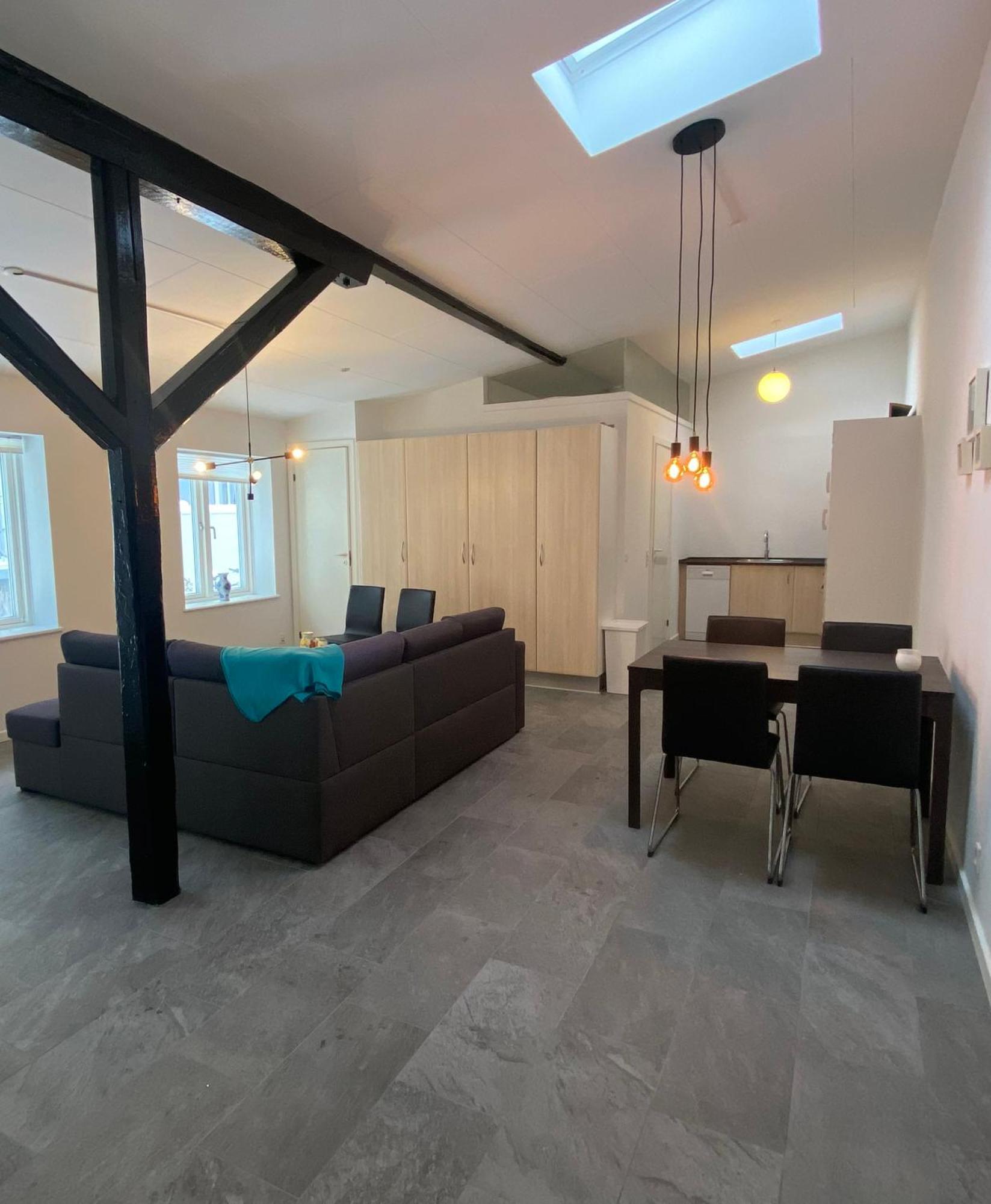 Charming - Luxurious 1 Bedroom Apartment In The Heart Of Aalbor Kültér fotó